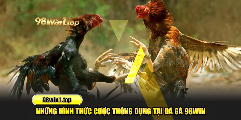 Những hình thức cược thông dụng tại đá gà 98Win